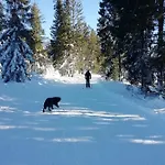 Chalupka U Babicky Lodge Ždiar