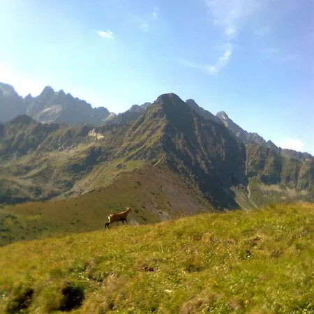 Domek letniskowy Chalupka U Babicky Ždiar