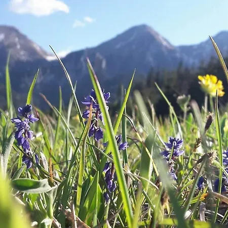 Lodge Chalupka U Babicky Ždiar