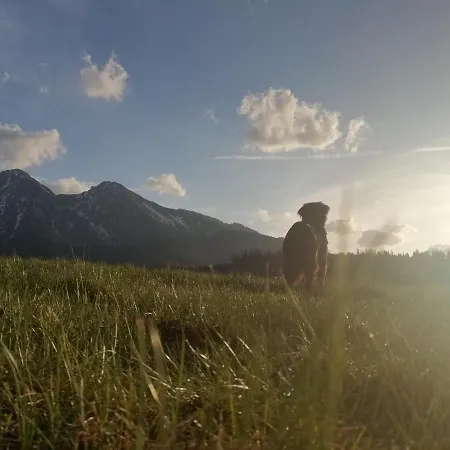 Chalupka U Babicky * Ždiar