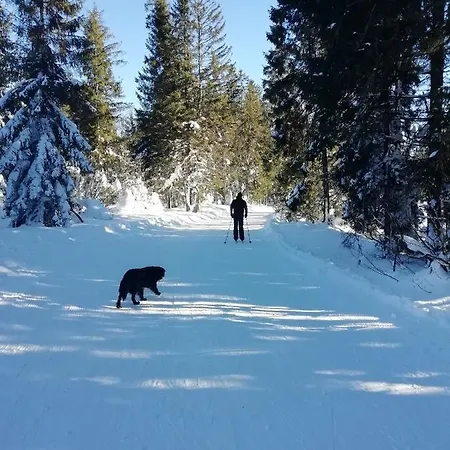 Chalupka U Babicky Lodge Ždiar